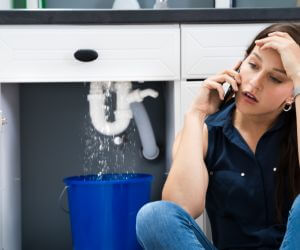 About Water Leak Detection Pros Rose City, MI
